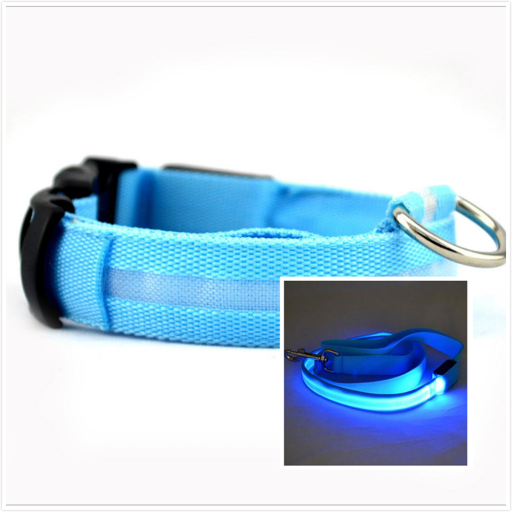 Dog LED luminous collar - CozyPath by Pathmol