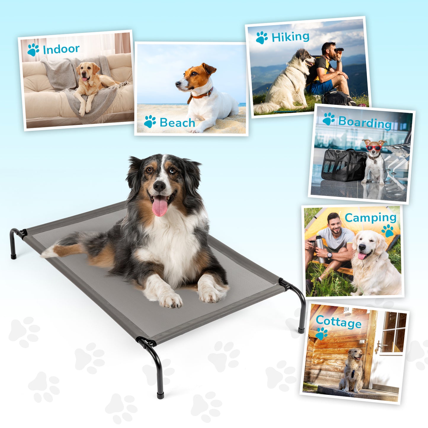 Pet Beds - CozyPath by Pathmol