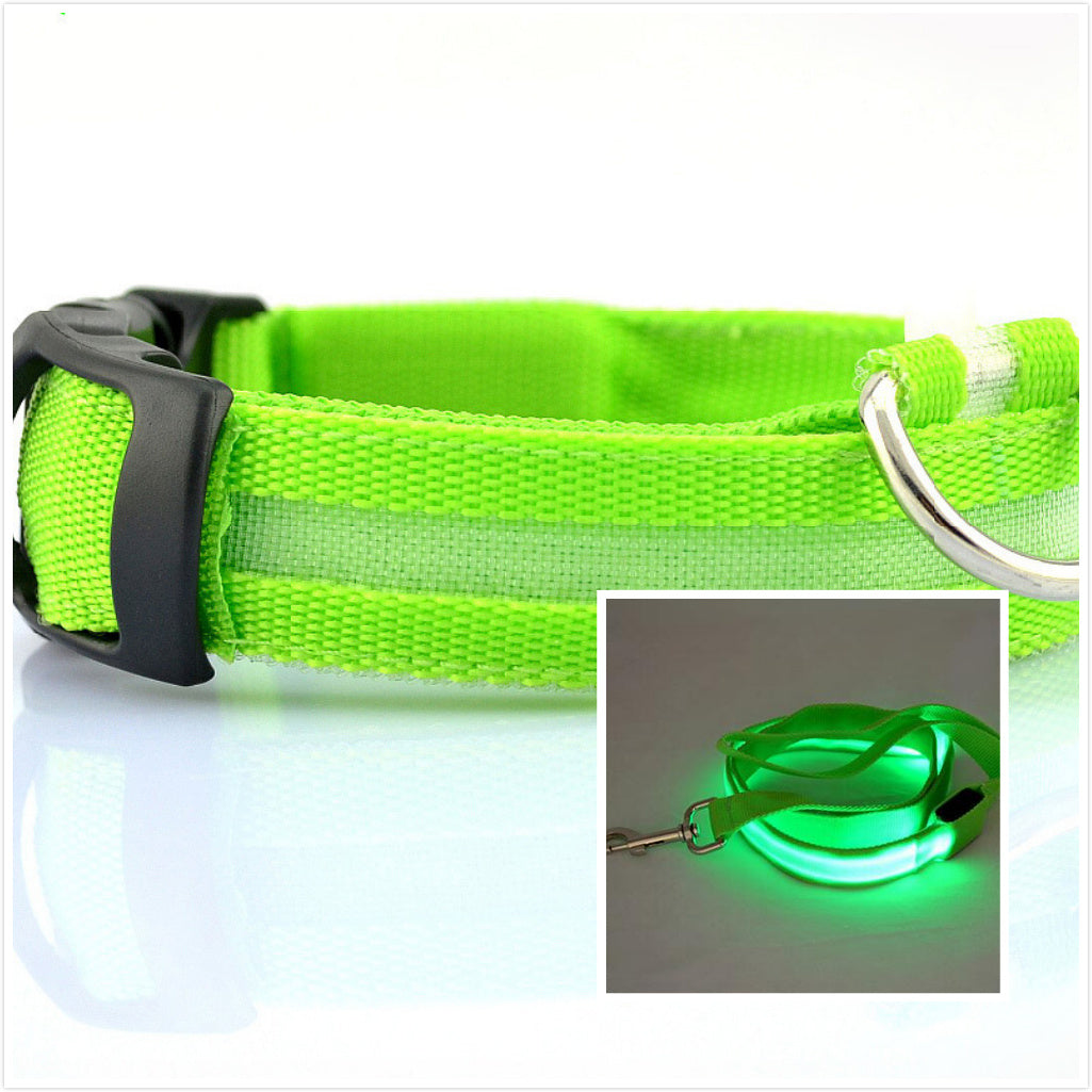 Dog LED luminous collar - CozyPath by Pathmol