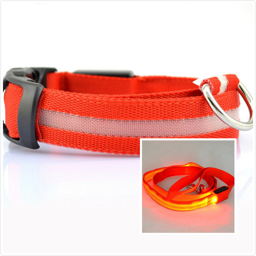 Dog LED luminous collar - CozyPath by Pathmol