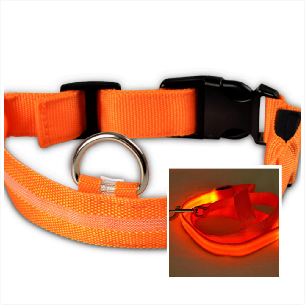 Dog LED luminous collar - CozyPath by Pathmol