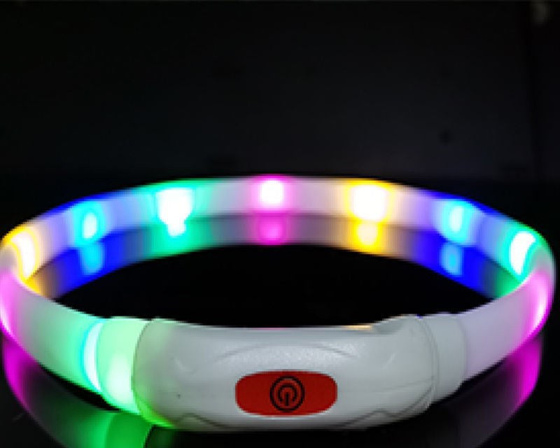Dog Silicone Luminous Collar LED - CozyPath by Pathmol