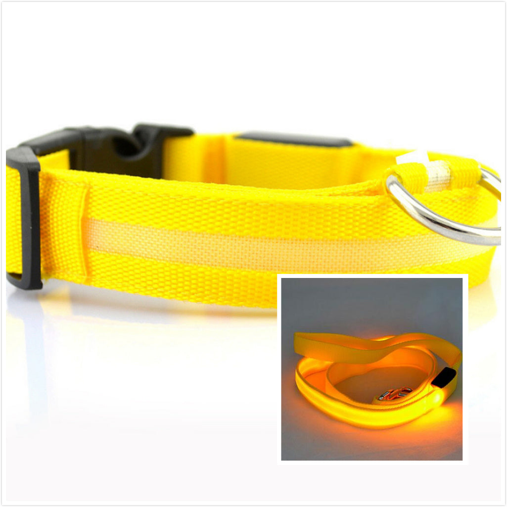 Dog LED luminous collar - CozyPath by Pathmol