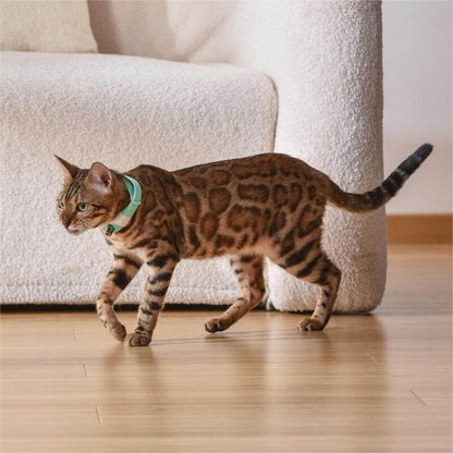 Pet Cat Toy Laser Collar - CozyPath by Pathmol