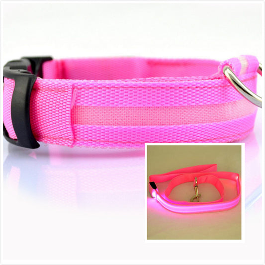 Dog LED luminous collar - CozyPath by Pathmol