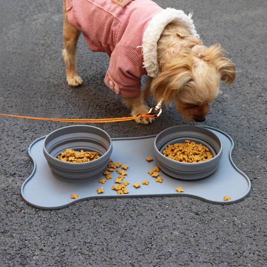 Silicone pet bowl - CozyPath by Pathmol