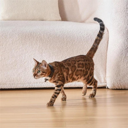 Pet Cat Toy Laser Collar - CozyPath by Pathmol